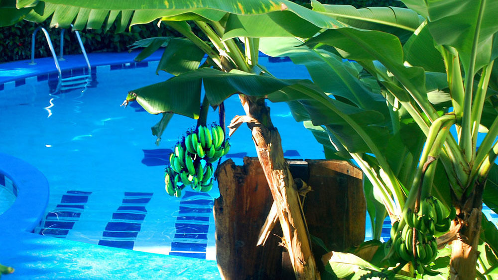 Hotel South Beach - Beachfront Jaco Bagian luar foto